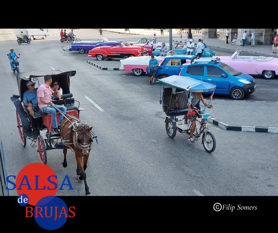 Salsa de Brujas-Reis Cuba-5